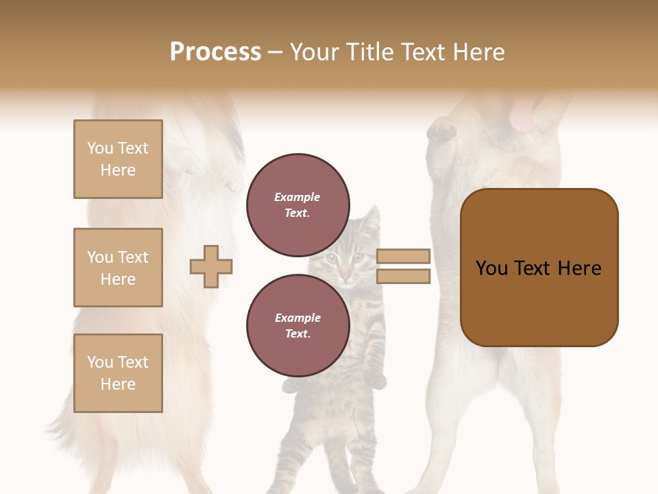 Shiba Collie Shibainu PowerPoint Template