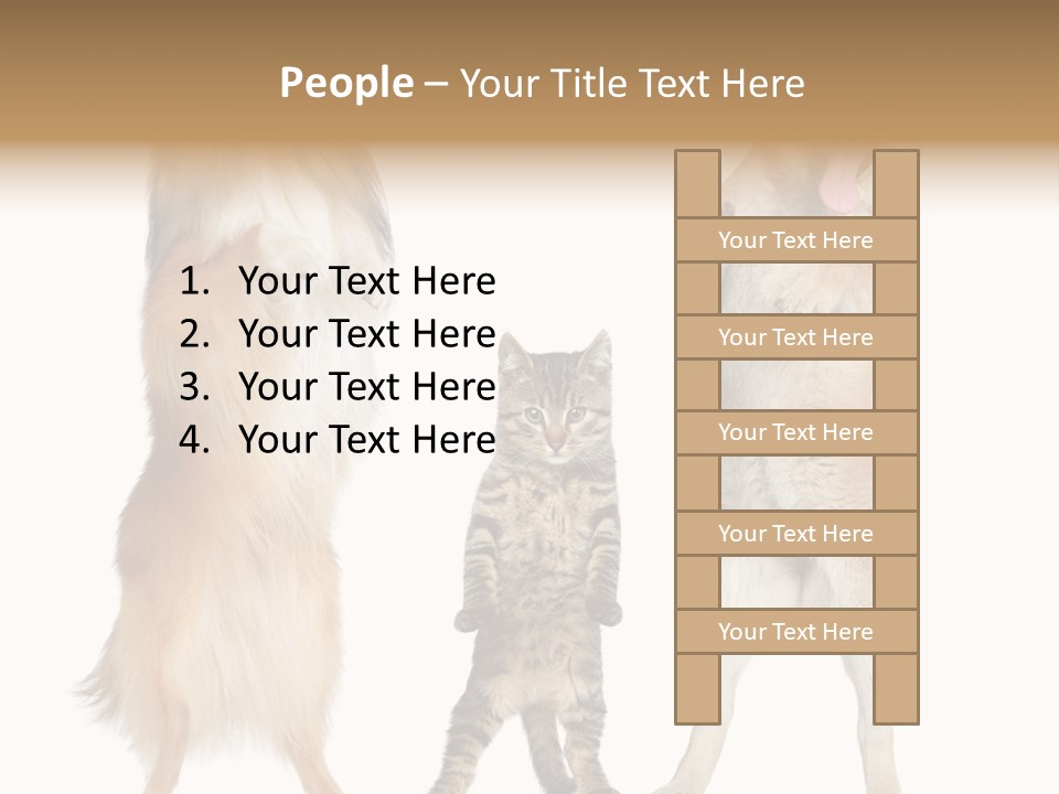 Shiba Collie Shibainu PowerPoint Template