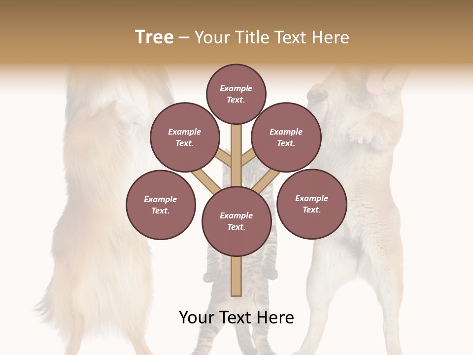 Shiba Collie Shibainu PowerPoint Template