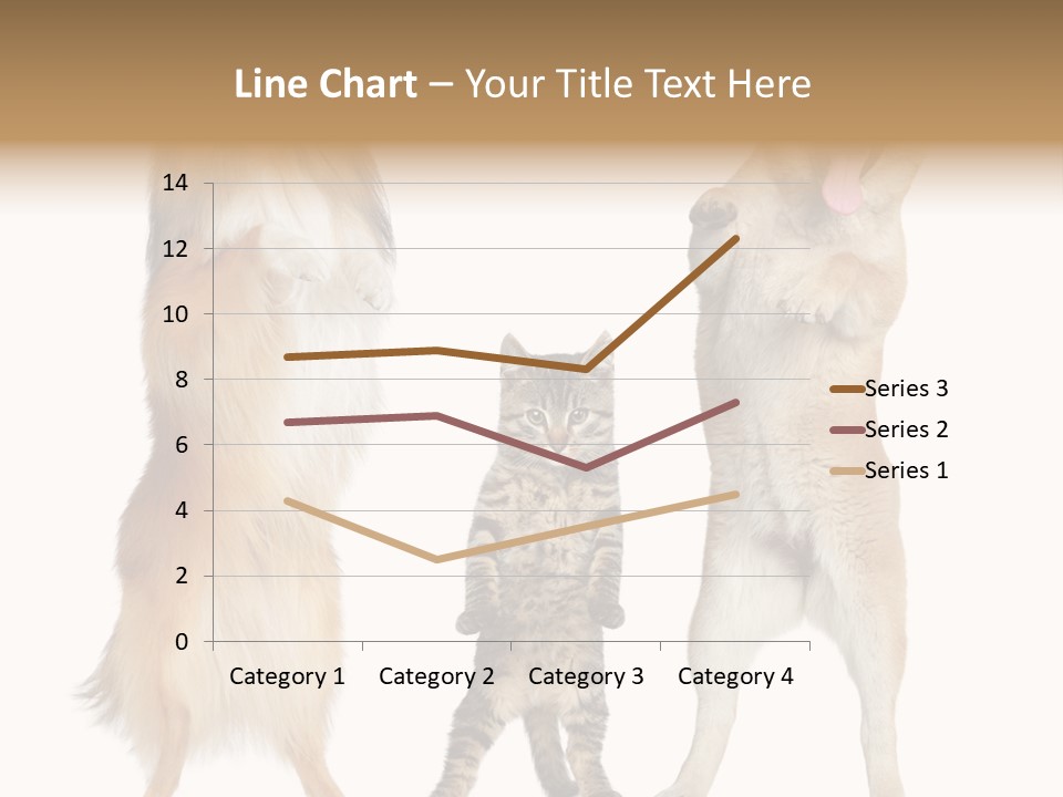 Shiba Collie Shibainu PowerPoint Template