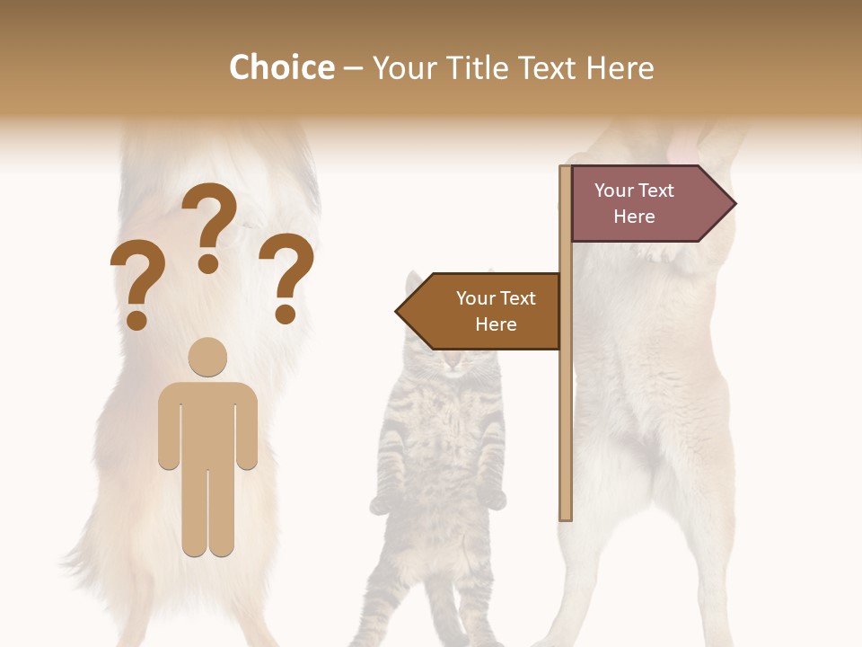 Shiba Collie Shibainu PowerPoint Template