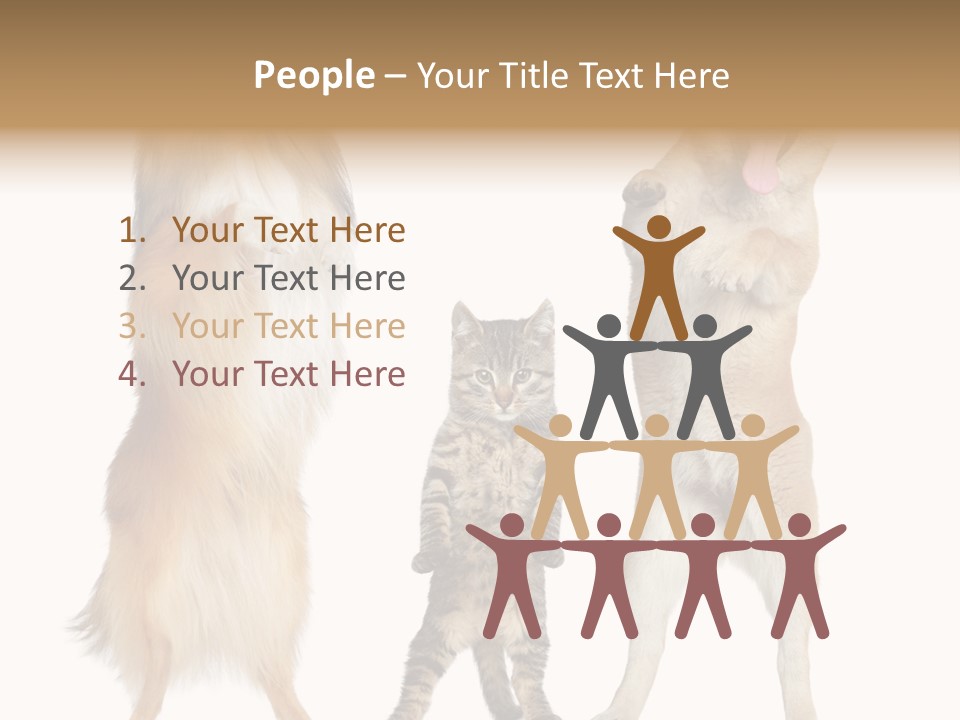 Shiba Collie Shibainu PowerPoint Template