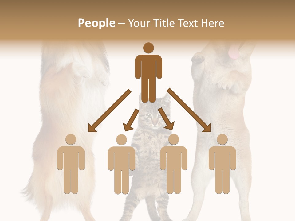 Shiba Collie Shibainu PowerPoint Template