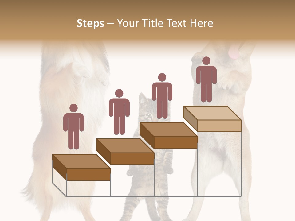 Shiba Collie Shibainu PowerPoint Template