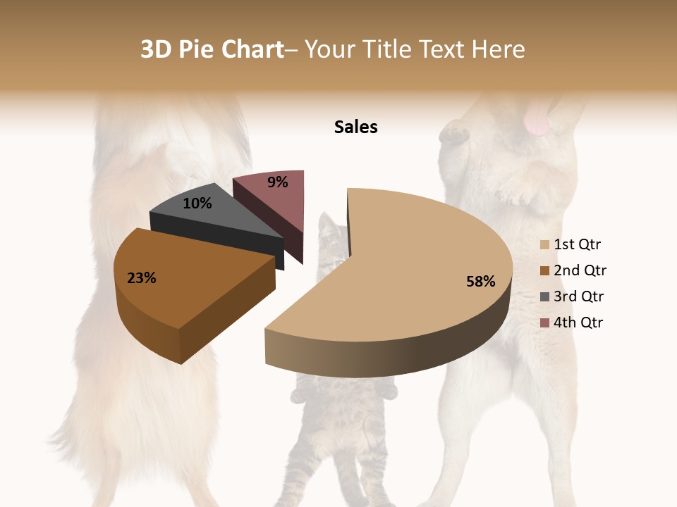 Shiba Collie Shibainu PowerPoint Template