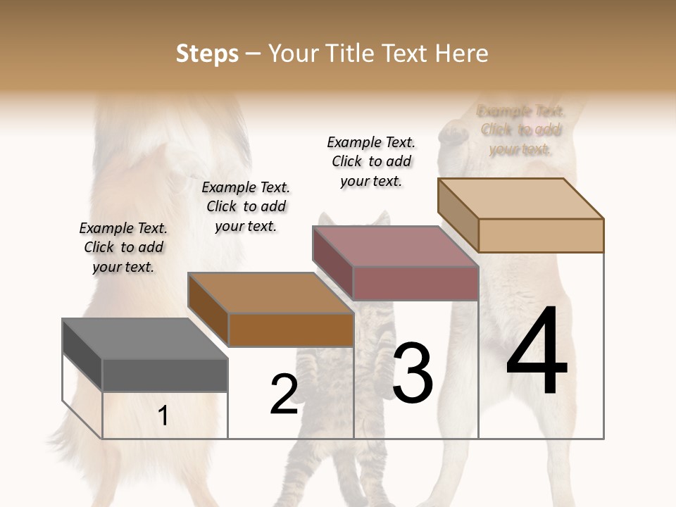 Shiba Collie Shibainu PowerPoint Template