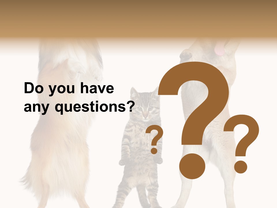 Shiba Collie Shibainu PowerPoint Template