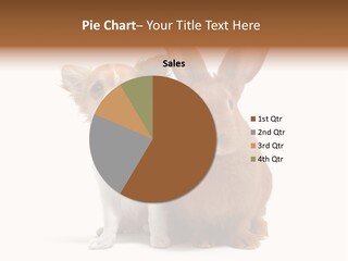 Dog Friendship Animal PowerPoint Template