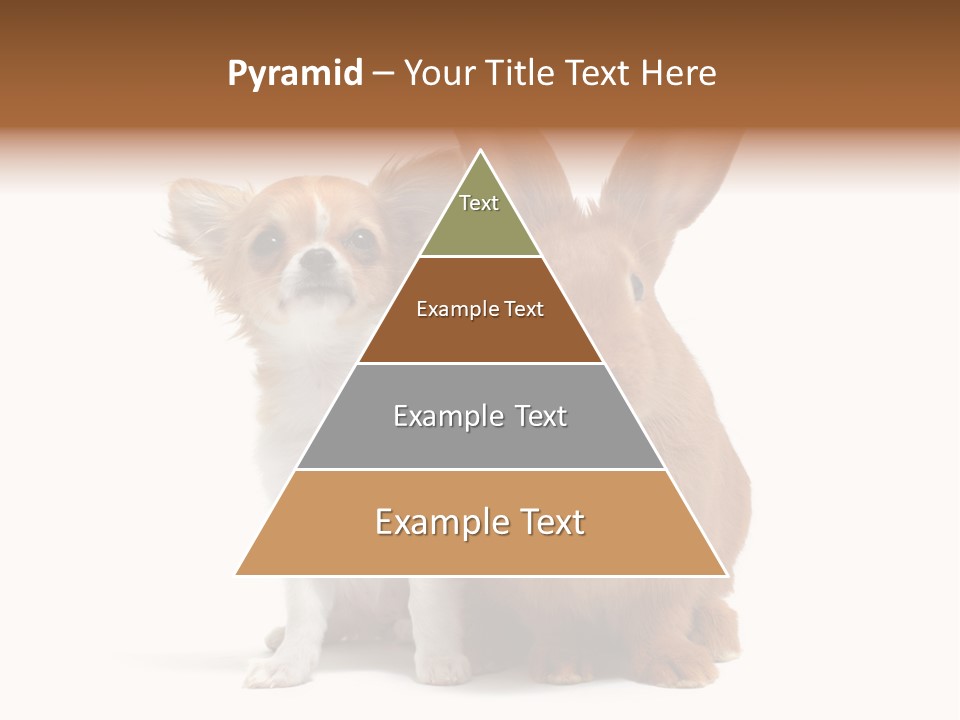 Dog Friendship Animal PowerPoint Template