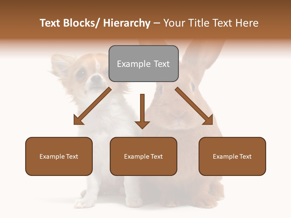 Dog Friendship Animal PowerPoint Template