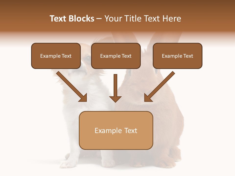 Dog Friendship Animal PowerPoint Template