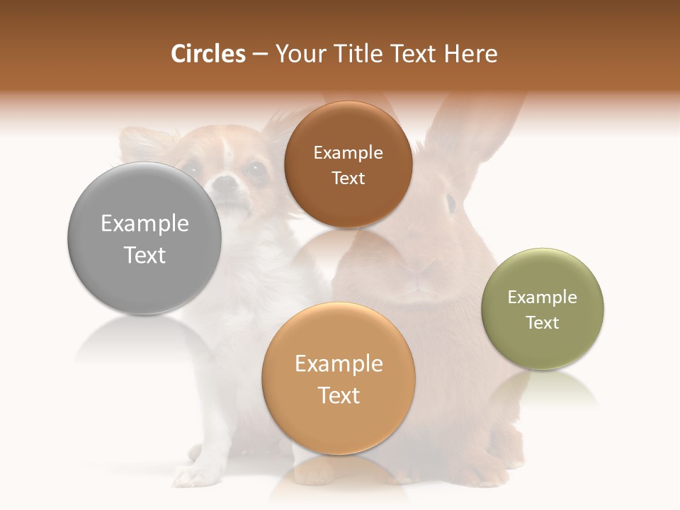Dog Friendship Animal PowerPoint Template