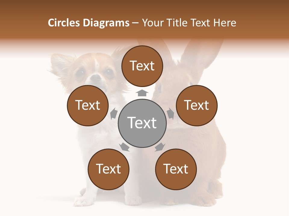 Dog Friendship Animal PowerPoint Template