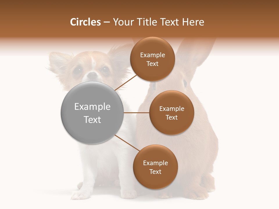 Dog Friendship Animal PowerPoint Template