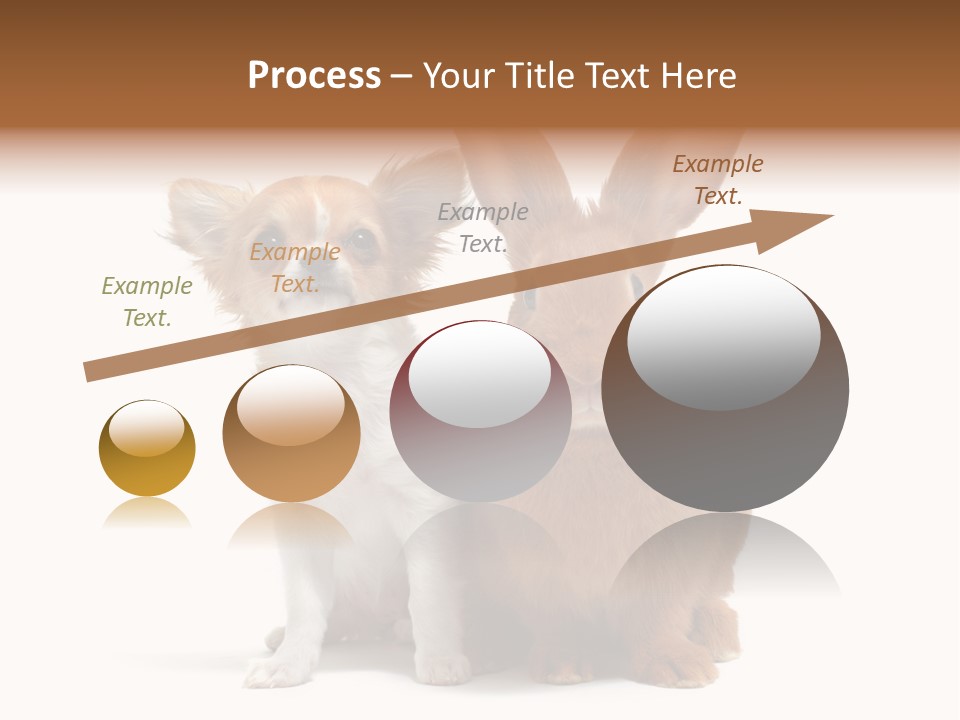Dog Friendship Animal PowerPoint Template