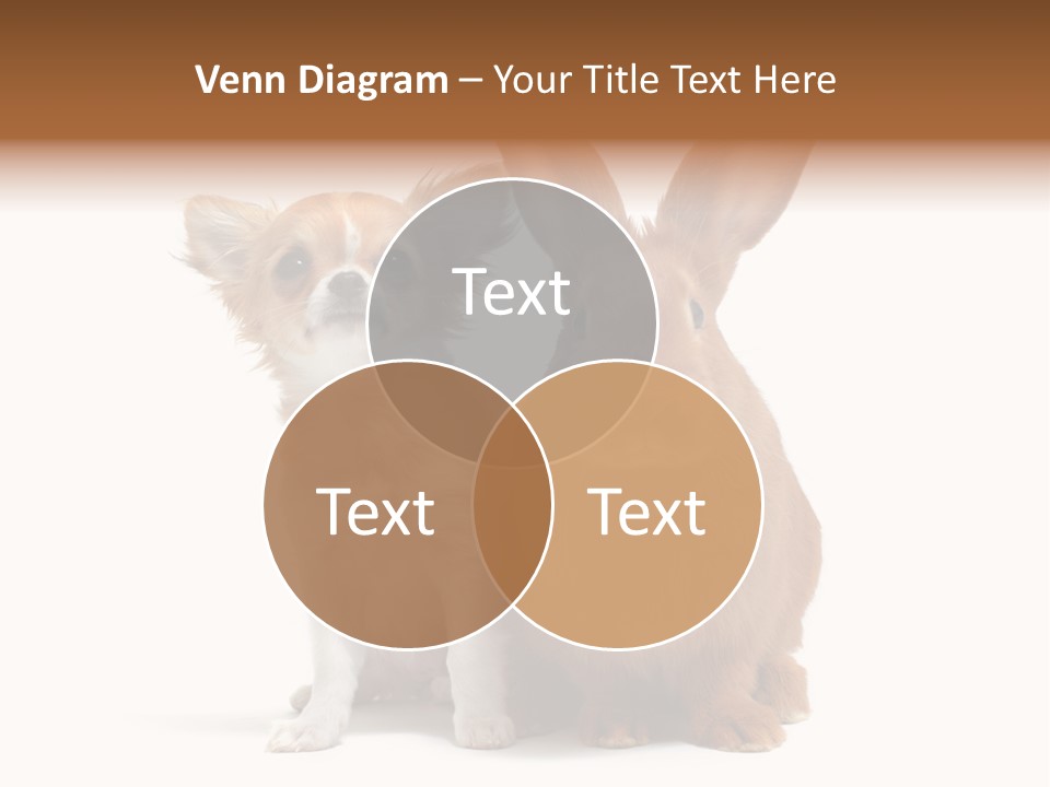 Dog Friendship Animal PowerPoint Template