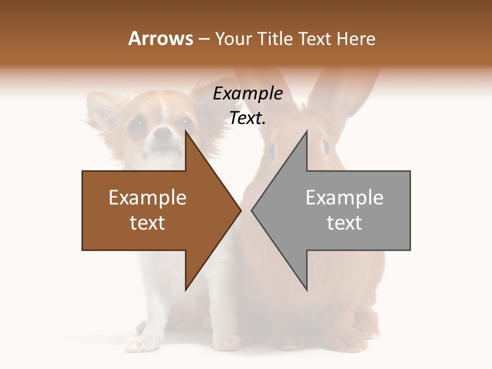 Dog Friendship Animal PowerPoint Template