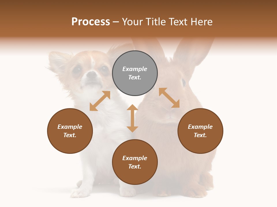 Dog Friendship Animal PowerPoint Template