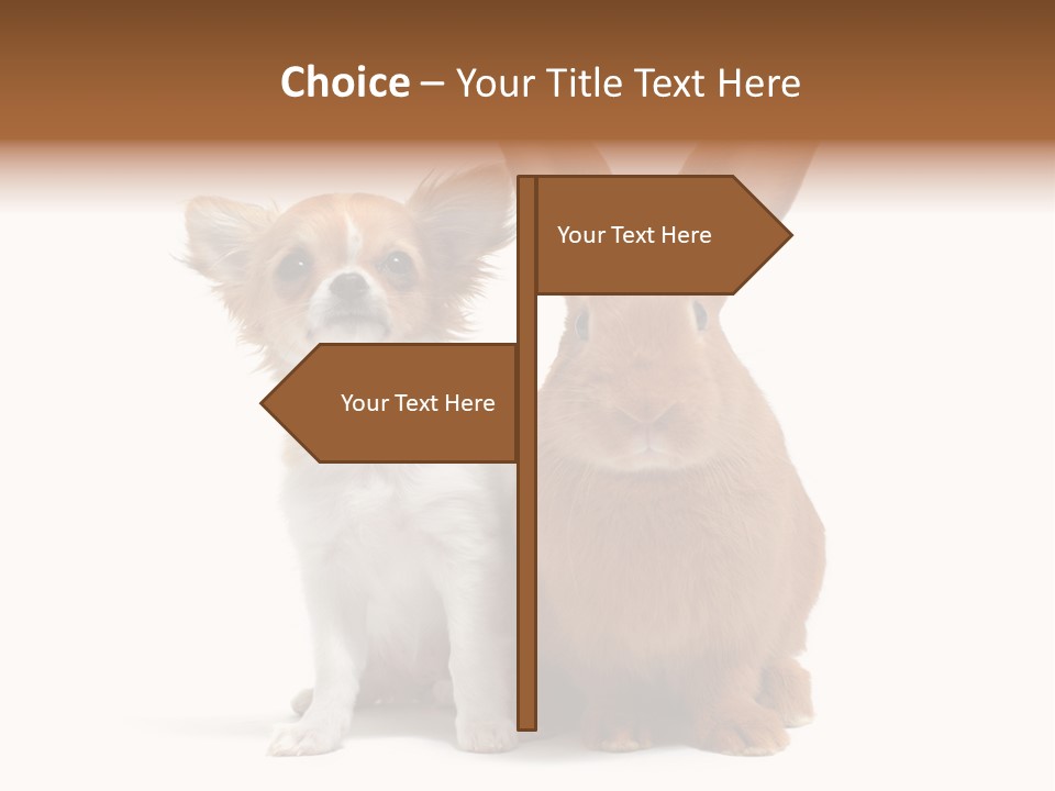 Dog Friendship Animal PowerPoint Template