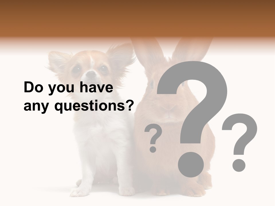Dog Friendship Animal PowerPoint Template