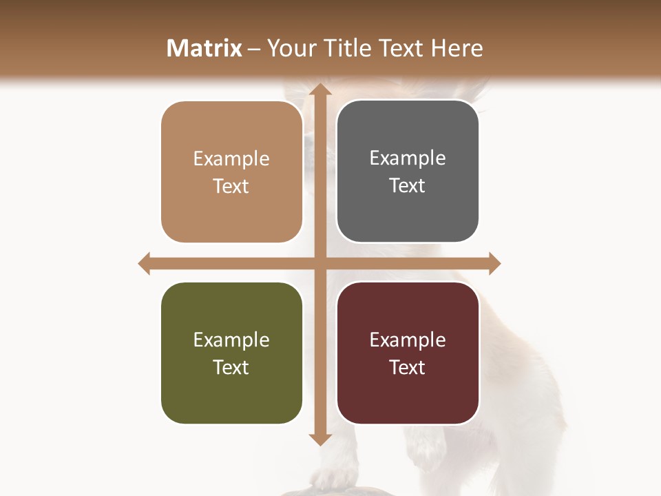 Hermanns Tortoise Cute Tortoise PowerPoint Template