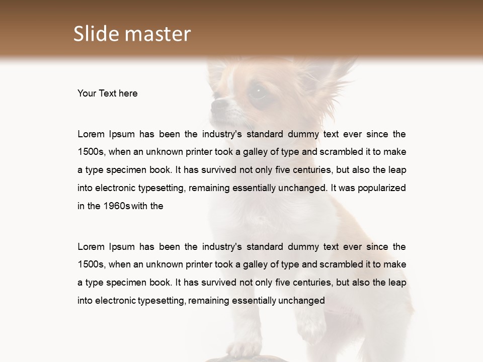 Hermanns Tortoise Cute Tortoise PowerPoint Template