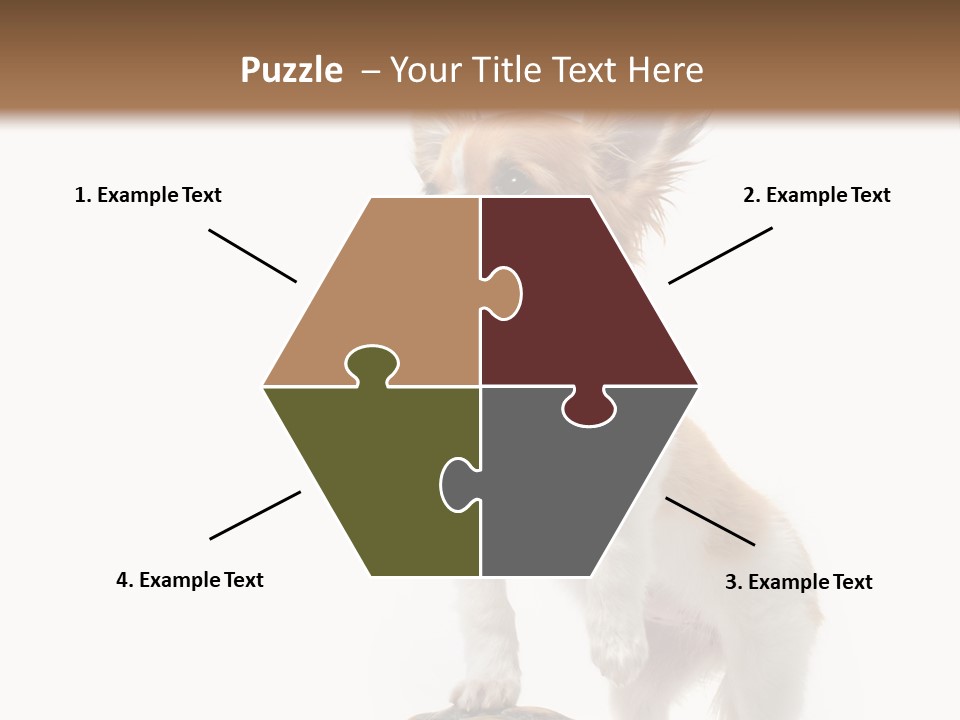 Hermanns Tortoise Cute Tortoise PowerPoint Template