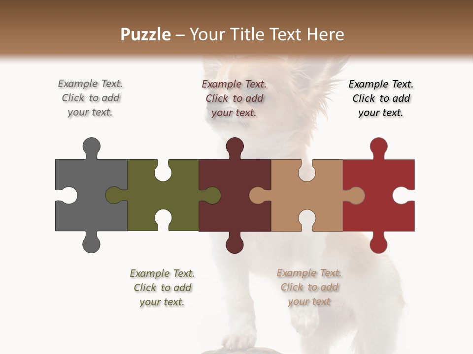 Hermanns Tortoise Cute Tortoise PowerPoint Template