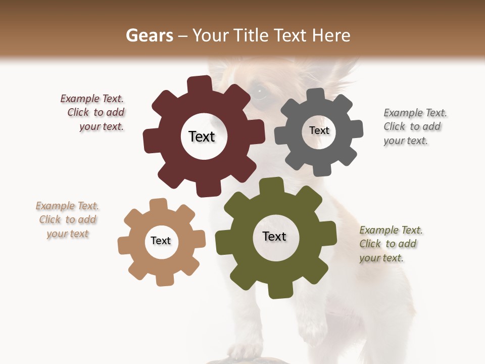 Hermanns Tortoise Cute Tortoise PowerPoint Template