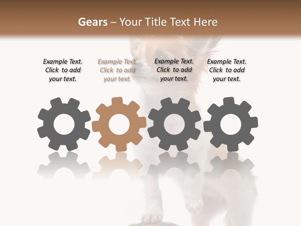 Hermanns Tortoise Cute Tortoise PowerPoint Template