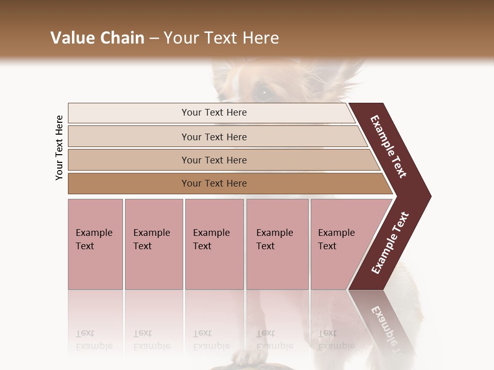 Hermanns Tortoise Cute Tortoise PowerPoint Template