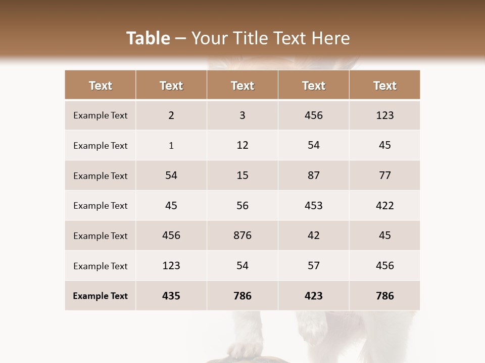 Hermanns Tortoise Cute Tortoise PowerPoint Template