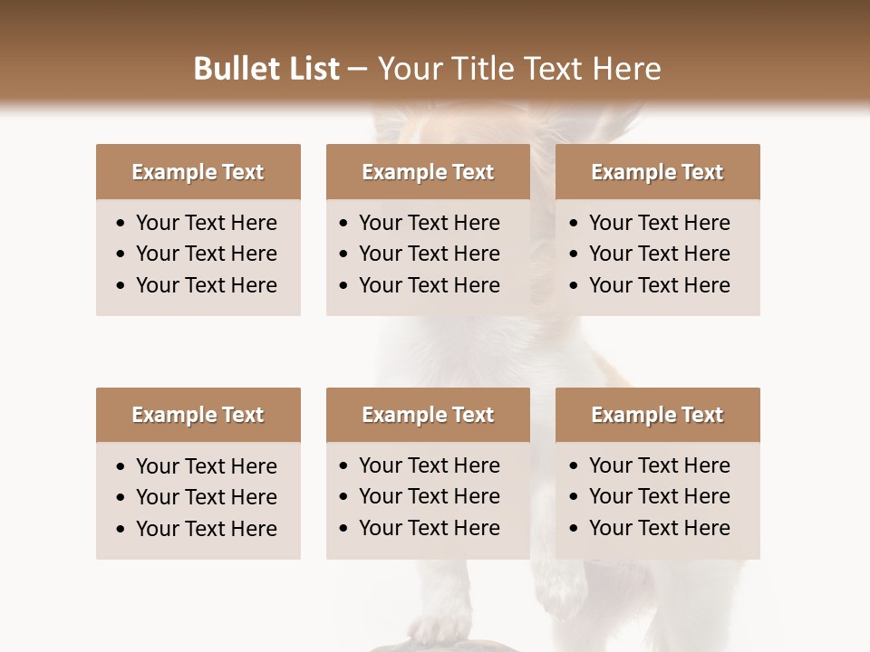 Hermanns Tortoise Cute Tortoise PowerPoint Template