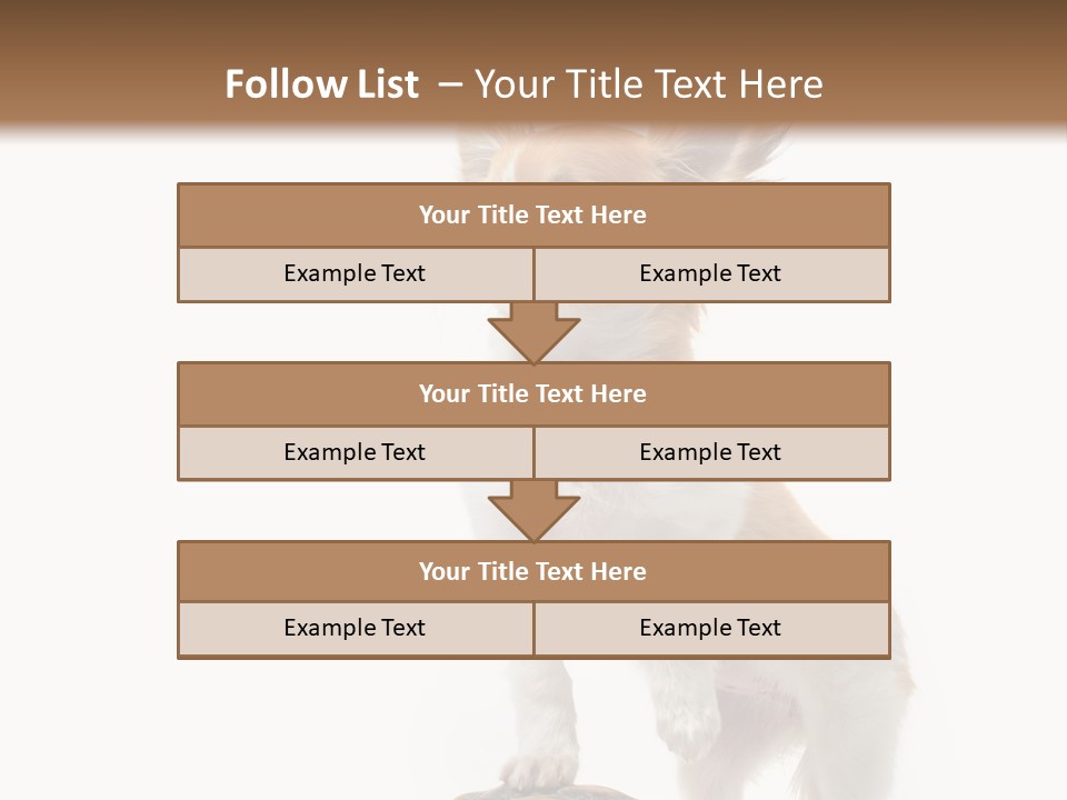 Hermanns Tortoise Cute Tortoise PowerPoint Template