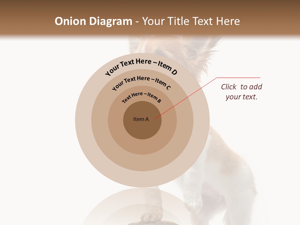 Hermanns Tortoise Cute Tortoise PowerPoint Template