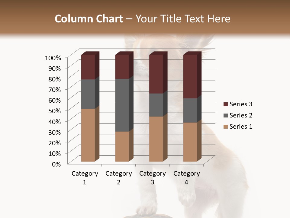 Hermanns Tortoise Cute Tortoise PowerPoint Template