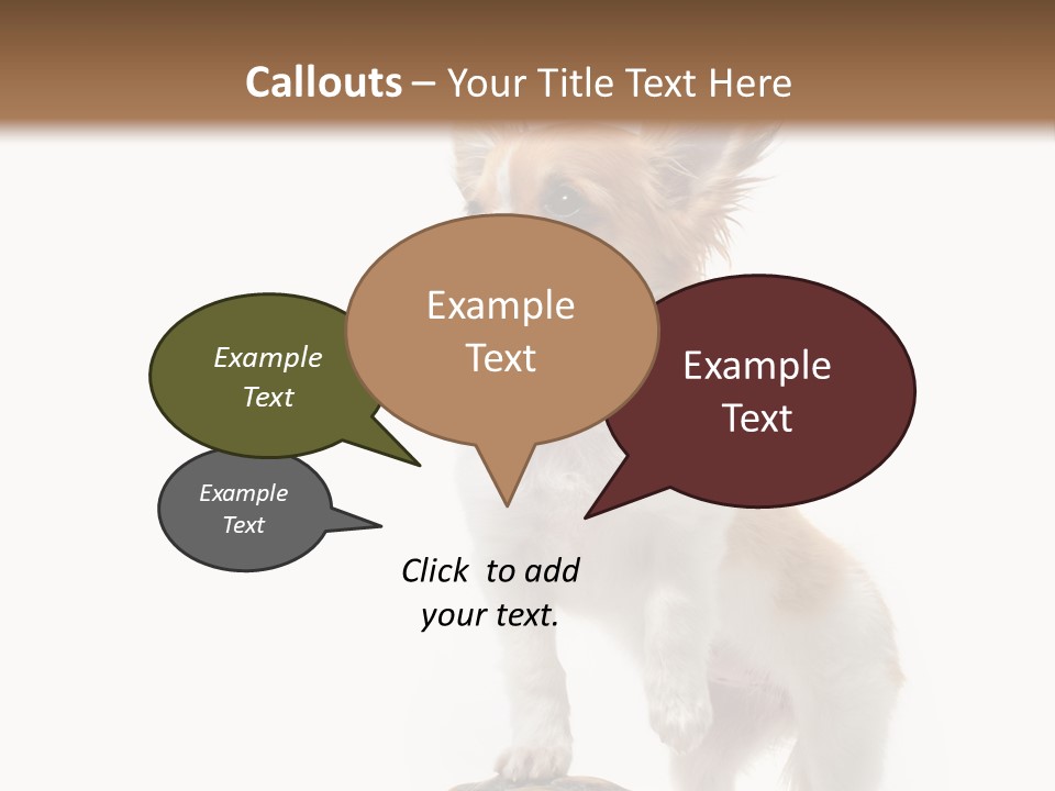 Hermanns Tortoise Cute Tortoise PowerPoint Template