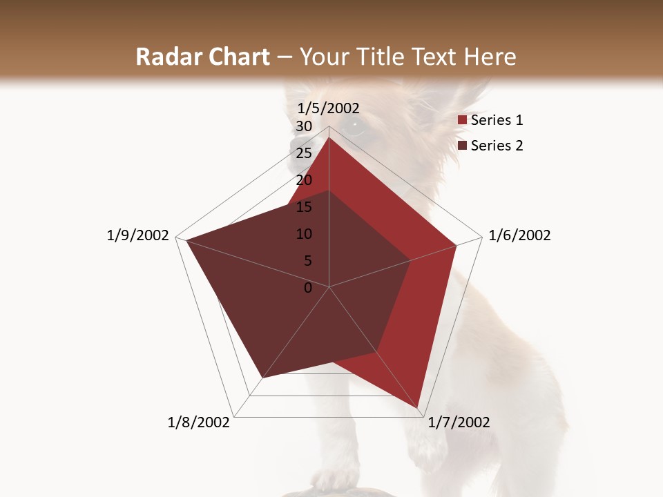 Hermanns Tortoise Cute Tortoise PowerPoint Template