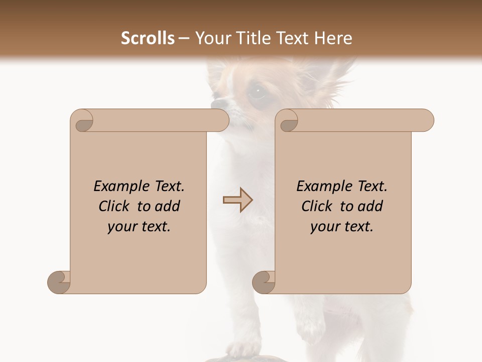Hermanns Tortoise Cute Tortoise PowerPoint Template
