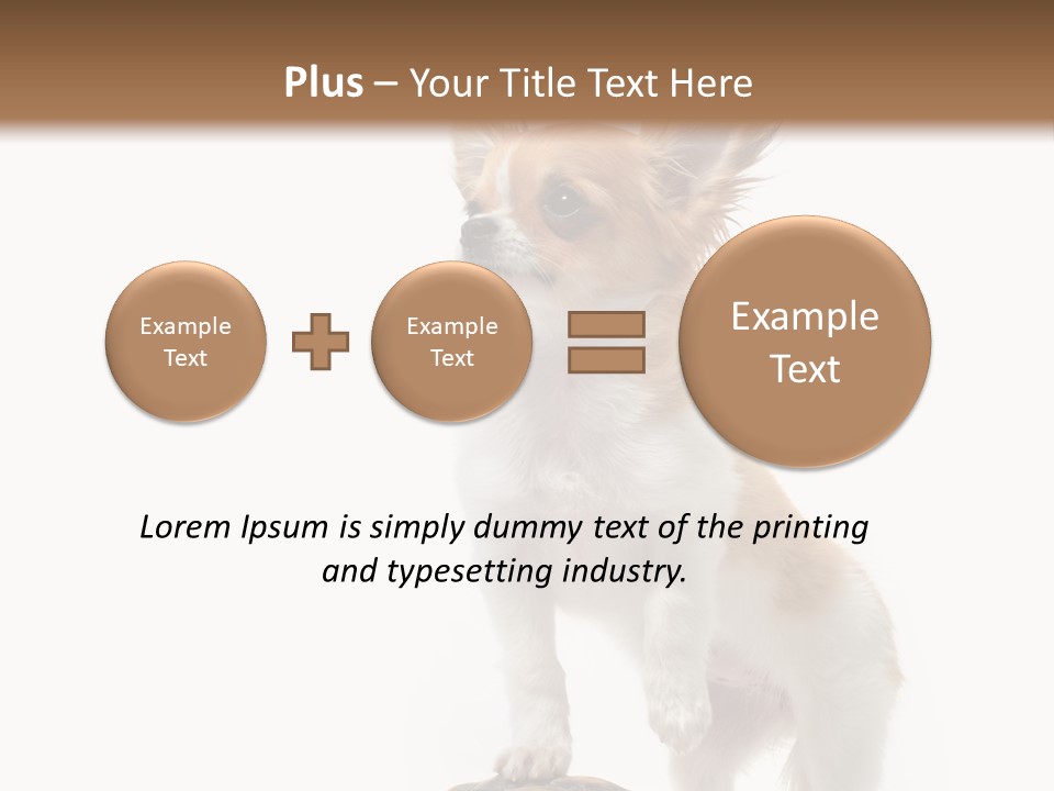 Hermanns Tortoise Cute Tortoise PowerPoint Template