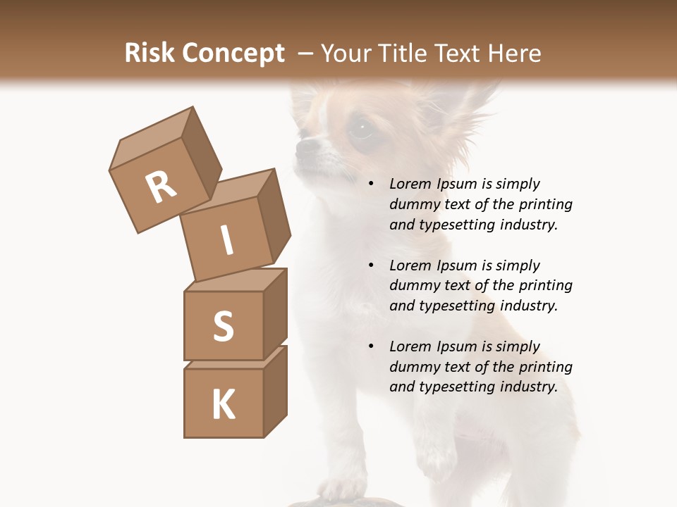 Hermanns Tortoise Cute Tortoise PowerPoint Template