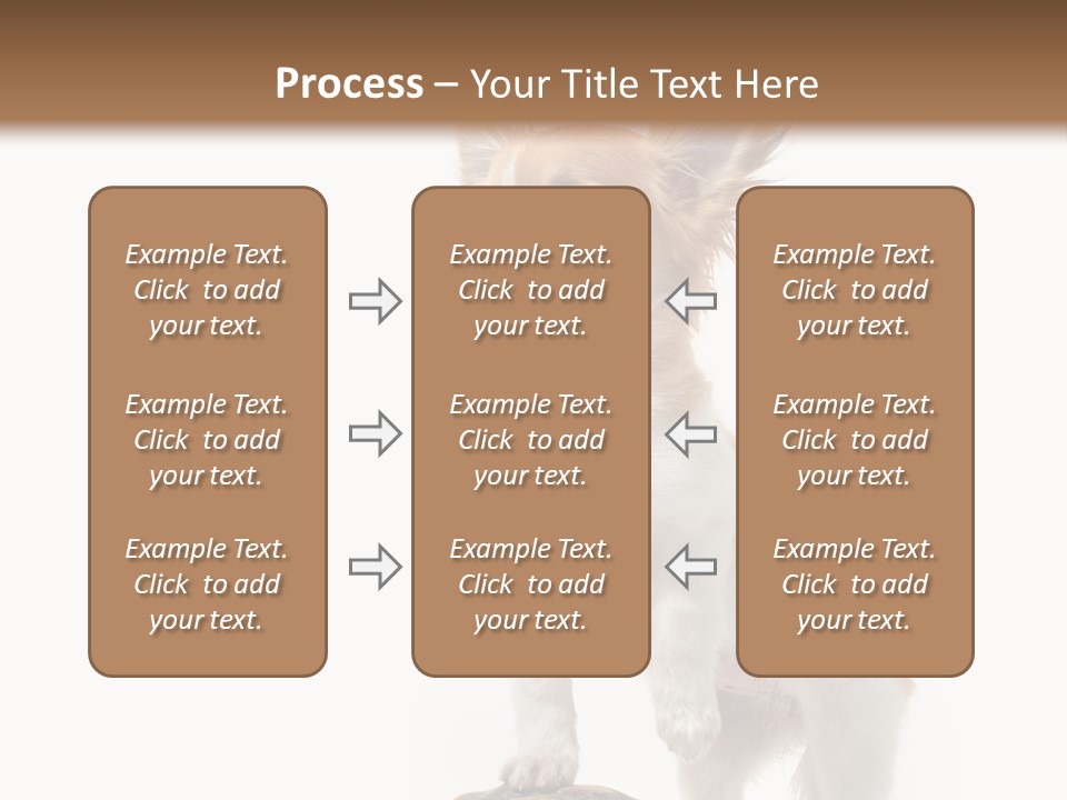 Hermanns Tortoise Cute Tortoise PowerPoint Template