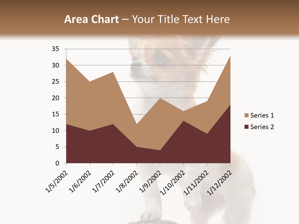 Hermanns Tortoise Cute Tortoise PowerPoint Template