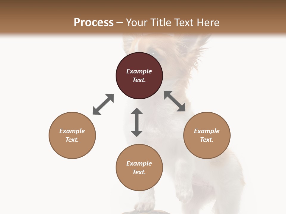 Hermanns Tortoise Cute Tortoise PowerPoint Template
