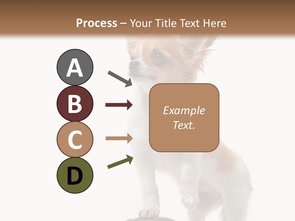 Hermanns Tortoise Cute Tortoise PowerPoint Template
