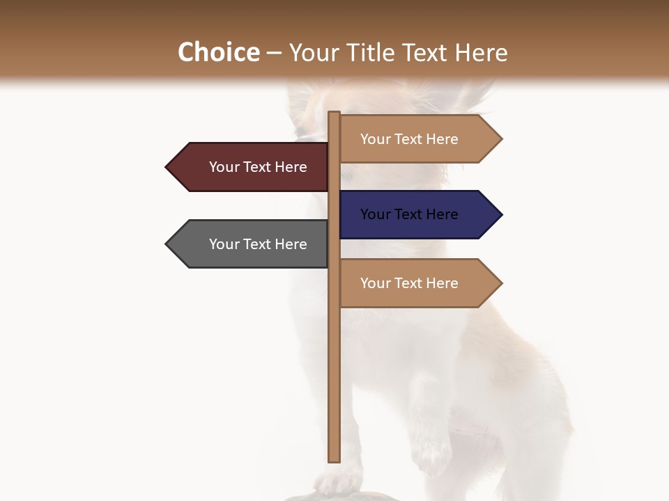 Hermanns Tortoise Cute Tortoise PowerPoint Template