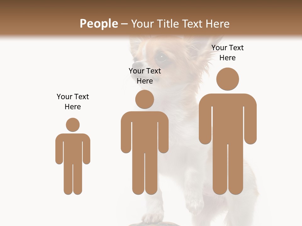 Hermanns Tortoise Cute Tortoise PowerPoint Template