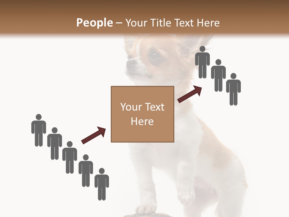 Hermanns Tortoise Cute Tortoise PowerPoint Template