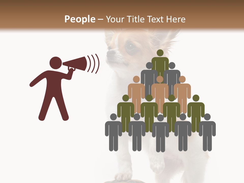 Hermanns Tortoise Cute Tortoise PowerPoint Template