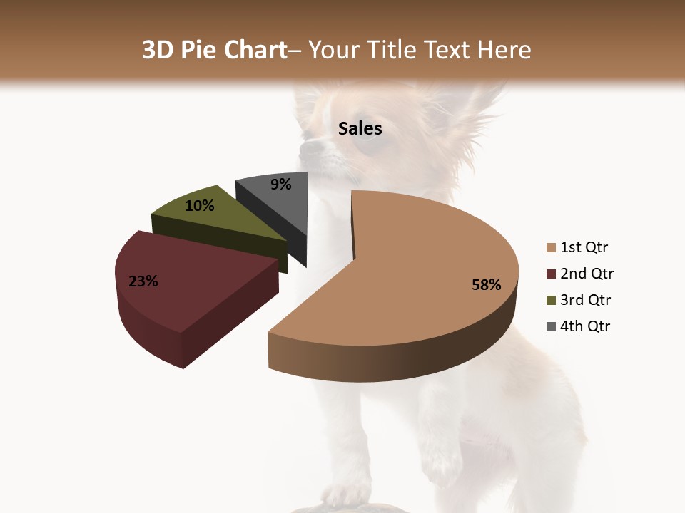 Hermanns Tortoise Cute Tortoise PowerPoint Template